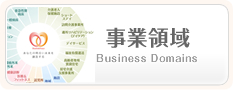事業領域